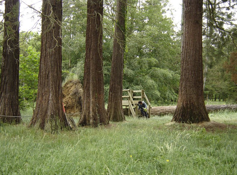 Arboretum d'Amance, Amance, Meurthe-et-Moselle, France, France